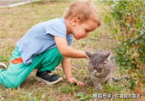 2026年蛇宝宝男孩名字大全，有没有什么属蛇男孩最佳取名推荐呢？