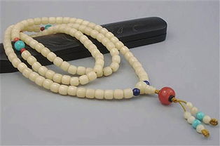 1. 菩提根（白菩提）