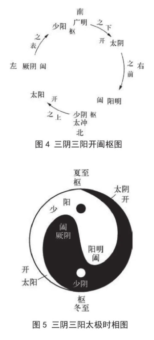 阴阳平衡的理论阐释