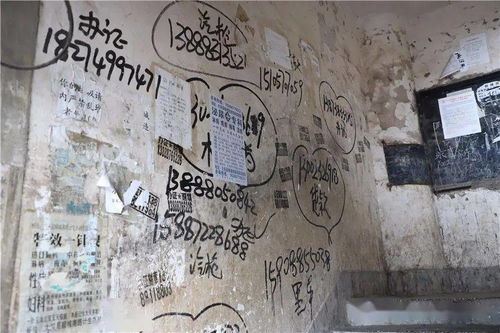 出马仙附体现象的普遍性与机制解析：民间信仰在实际应用中的认知模式探究
