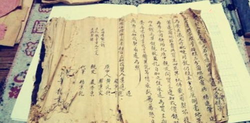 甲辰戊辰女命八字有何独特之处或特殊表现？