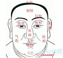 气色变化？不如看看体检报告！