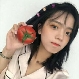 家居风水与家庭运势：内在空间的隐喻