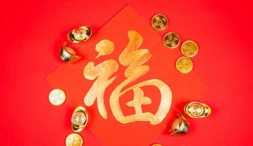 2.1 属牛群体：坚韧品格与耐力型较长寿模式