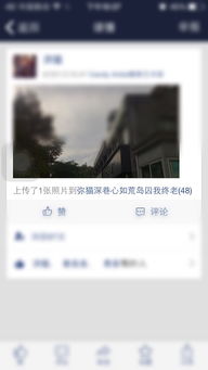 3. 风水元素 (除非你是大师!)