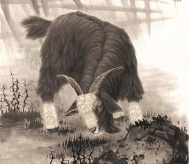 属羊人2026年生宝宝是否吉利，有何寓意？