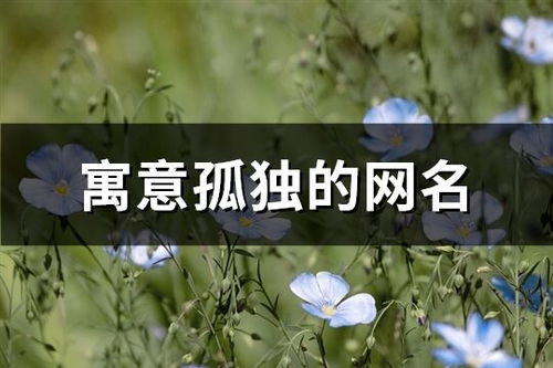 3.1 植物摆放：营造生机勃勃的气场