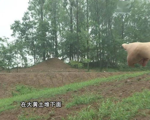 （一）坑洞与聋盲之关联