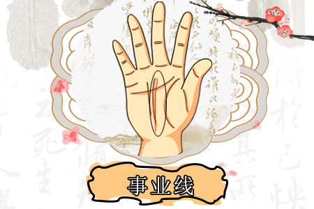 一、 事业线长女性之运势概述