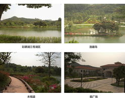 建筑朝向与门窗配置