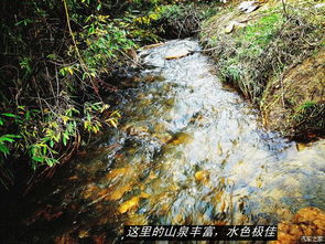 康乐竹子沟：免费门票背后的旅行奇迹