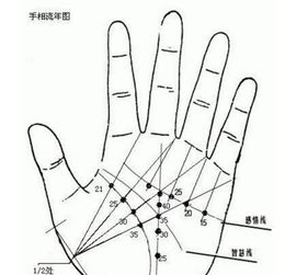 二、 辅助纹路的相互作用与影响
