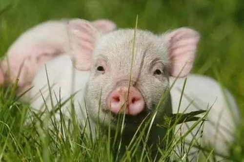 第三个城市：杭州！牛炸了！