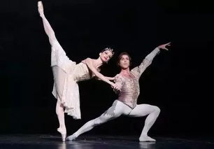 板栗雨下的疯狂舞蹈