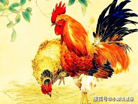 属鸡：端庄大方型