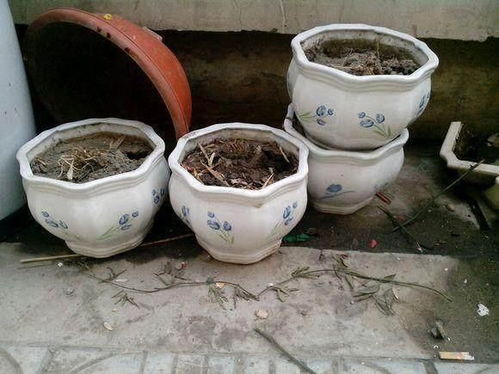 一、 文本材料概述及其结构化沉重构