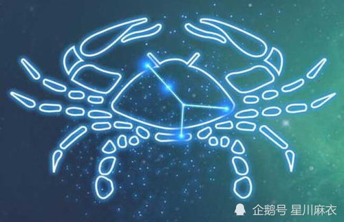四、 金牛座与狮子座组合特征之综合分析