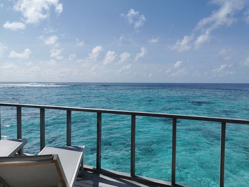 选岛？简直比选对象还难！而且还容易后悔！