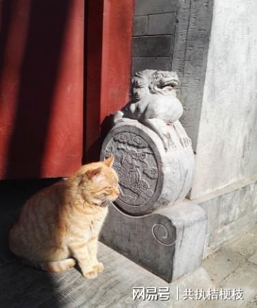 算命结果会因什么因素改变？算命改运势的方法真的有效吗？