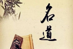 一、 了解“书”字的文化底蕴内涵