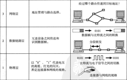 四柱窥象之理论概述
