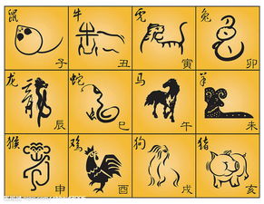 女命八字戊寅辛酉丙戌丙申，子丑寅卯辰巳午未申酉戌，如何解读其命运走向？