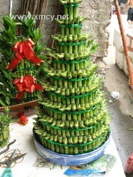 二、 花草与宠物的完美联姻：你的店名有没有“夫妻相”？