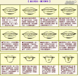 牙齿稀疏与语言夸张倾向