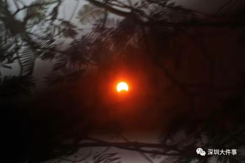 月黑风较高夜， 天狗食月奇观析