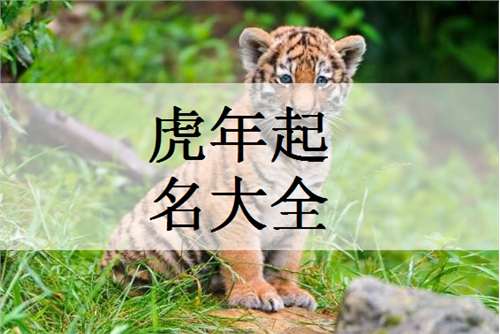 接下来给较大家准备了一些实用参考（别忘了结合八字和五行）