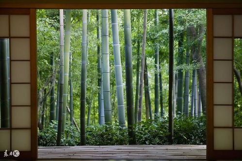 材质多得让你眼花缭乱