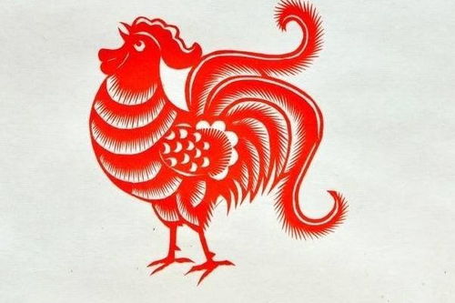 二、 生肖鸡：智谋通达与贵人运的双重叠加