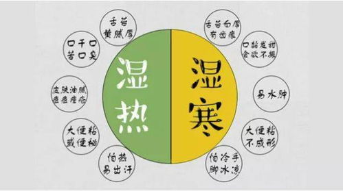 2. 排泄物分析：洞察脾胃功能状态