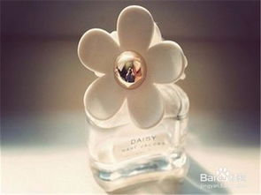 宝马香车指的是哪个生肖？12生肖香水车载是什么含义？