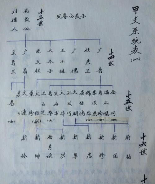 惯与真假圣裔的那些事儿