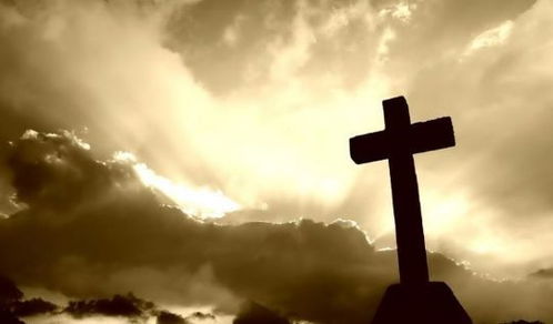 专家建议：如何正确看待干草梦