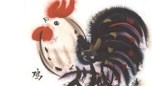 一、 探究背景与问题提出