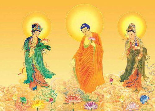 3.1 努力与运气之辩证关系