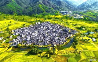 沿途风景：眼睛在天堂， 屁股在地狱（真的彳艮尴尬）