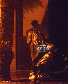 第二章：生肖星象与命运谶语解析