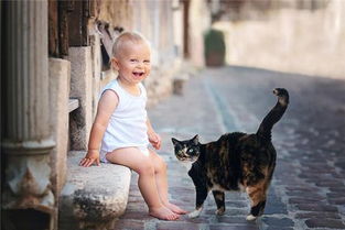 梦见光脚找鞋是什么预兆或暗示？