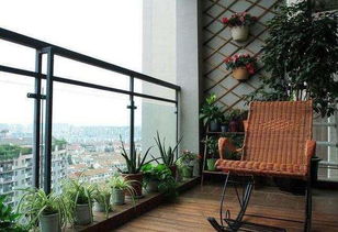 正向促进运势的适宜植物推荐