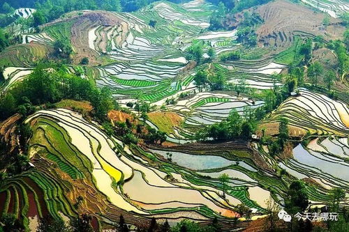 导航？不存在的！离线地图+当地人才是王道
