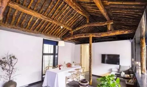 2. 小李飞花民宿：网红风暴，全是滤镜