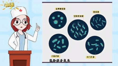3.1 火象星座（白羊/狮子/射手）需警惕盲目自信陷阱