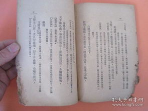 三、 诗句符号学解析