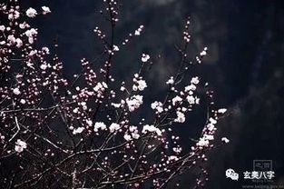 八字中月柱和年柱都是七杀，这种情况该如何解读呢？