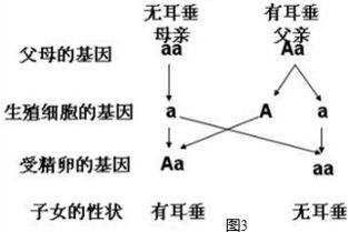 二、 星星的指引：周姓宝宝的星座特质分析