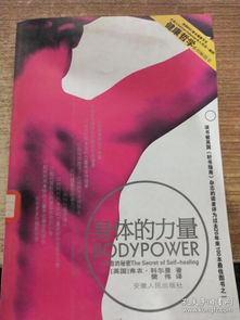 二、 内部空间布局与环境气场优化