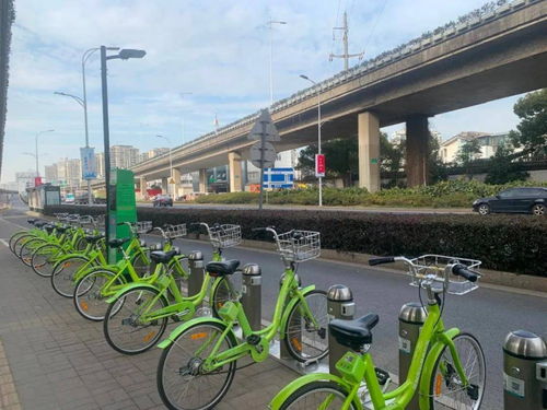 苏州绿色车站旅游票价查询，让你省钱又省心！